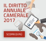 Diritto annuale 2017
